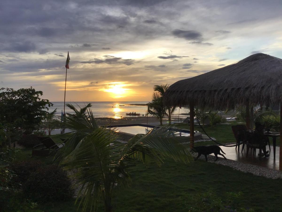 Bamboobeachvilla2 Ac New Oceanfront Pool Sunsetview Garden Kitchen Satellite Starlink Wi-Fi Димиао Экстерьер фото