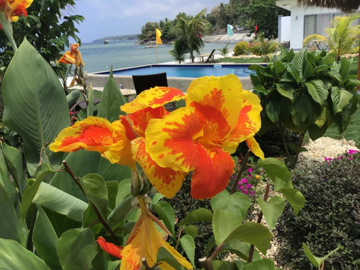 Bamboobeachvilla2 Ac New Oceanfront Pool Sunsetview Garden Kitchen Satellite Starlink Wi-Fi Димиао Экстерьер фото